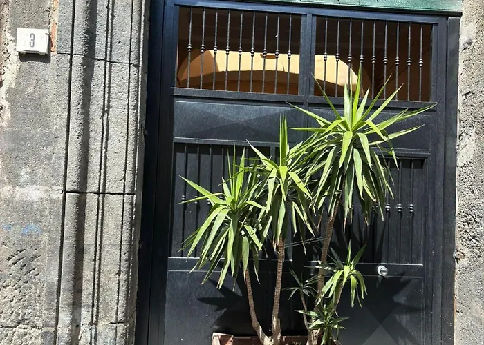 Orefici Maison 2 Appartement *